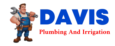 Trusted plumber in CLATONIA